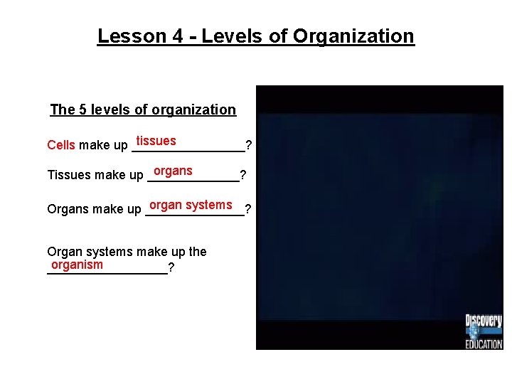 Lesson 4 - Levels of Organization The 5 levels of organization tissues Cells make