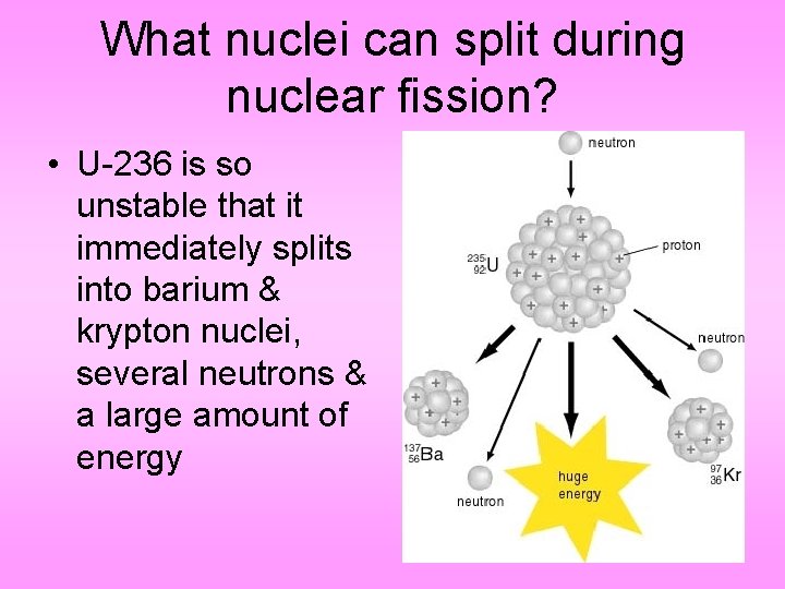 What nuclei can split during nuclear fission? • U-236 is so unstable that it