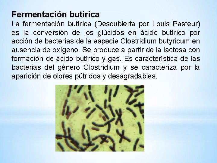 Fermentación butirica La fermentación butírica (Descubierta por Louis Pasteur) es la conversión de los