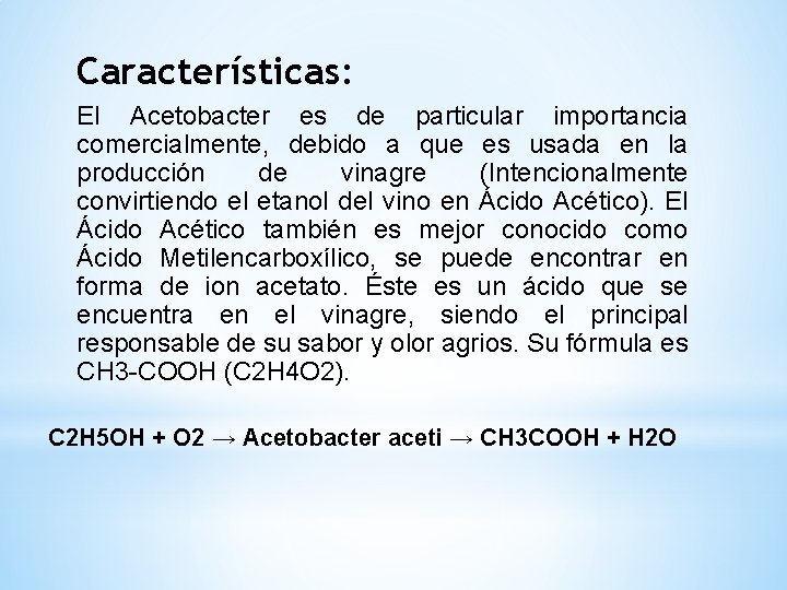 Características: El Acetobacter es de particular importancia comercialmente, debido a que es usada en