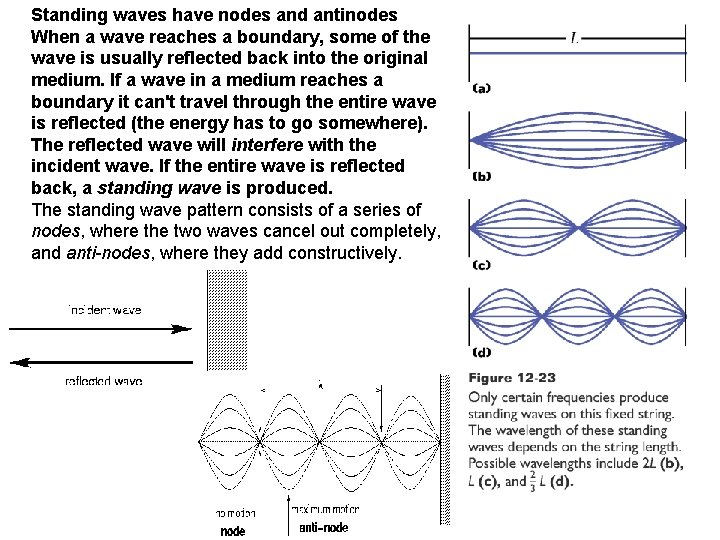 Standing waves have nodes and antinodes When a wave reaches a boundary, some of