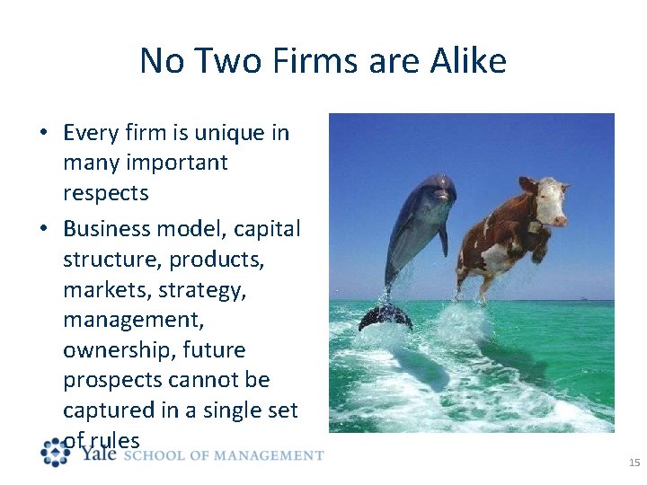 No Two Firms are Alike • Every firm is unique in many important respects