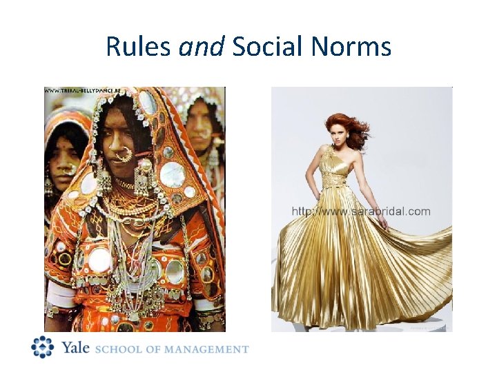 Rules and Social Norms 