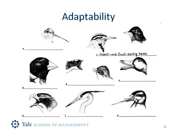 Adaptability 33 