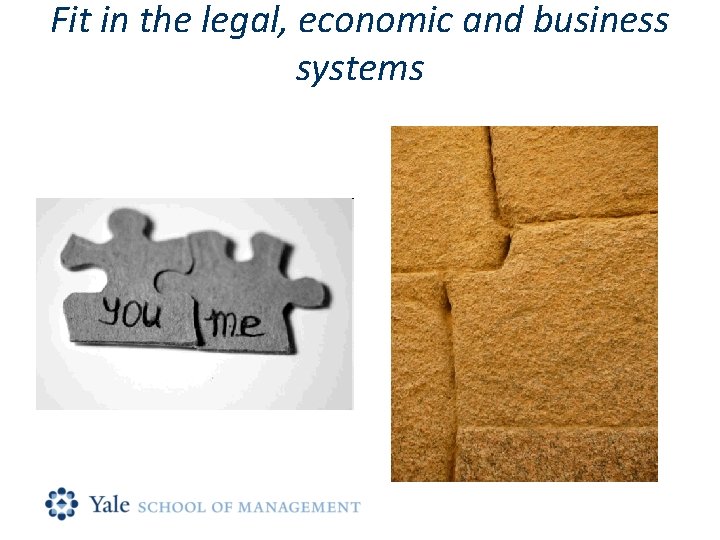 Fit in the legal, economic and business systems 