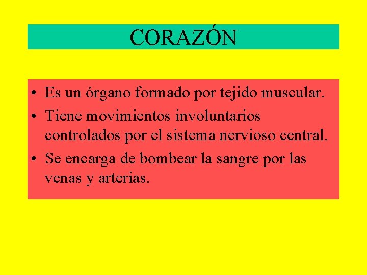 CORAZÓN • Es un órgano formado por tejido muscular. • Tiene movimientos involuntarios controlados