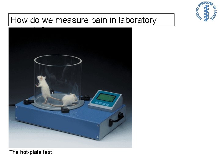 How do we measure pain in laboratory animals? The hot-plate test 