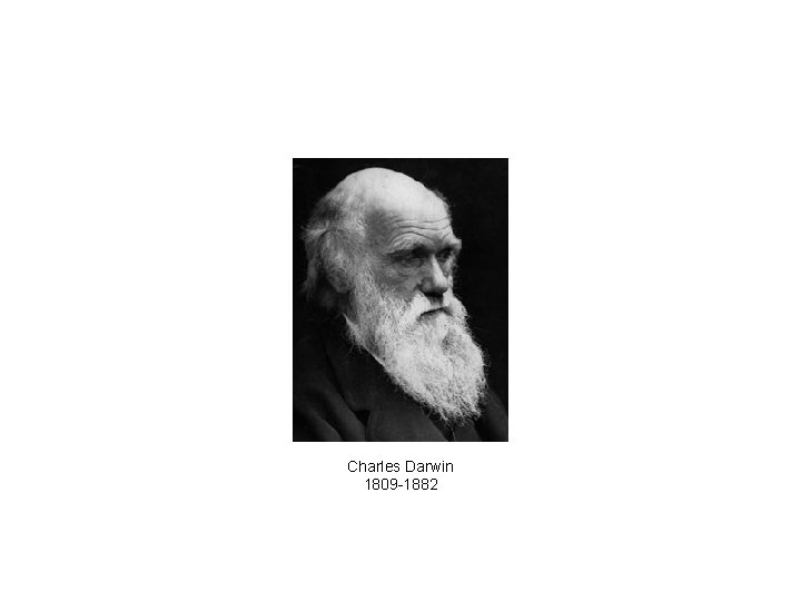Charles Darwin 1809 -1882 