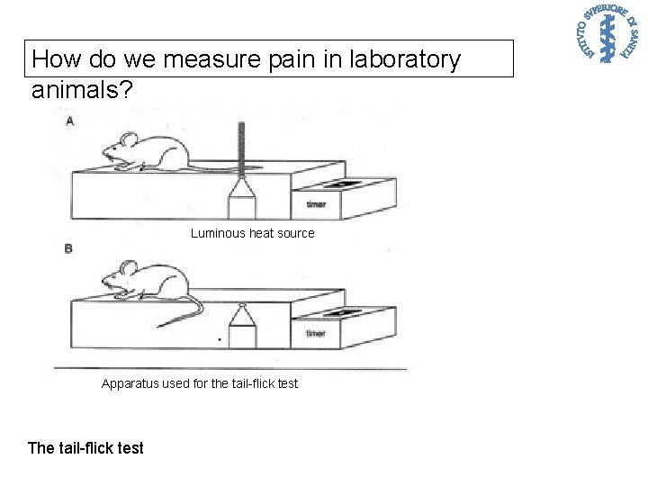 How do we measure pain in laboratory animals? Luminous heat source Apparatus used for
