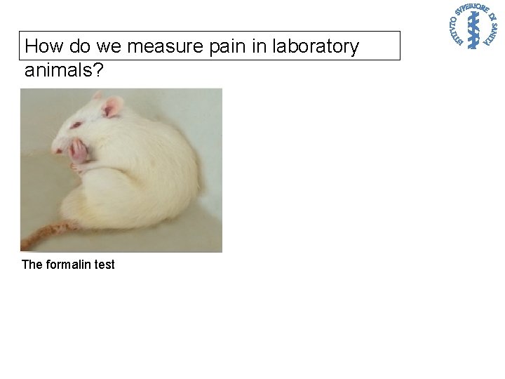 How do we measure pain in laboratory animals? The formalin test 