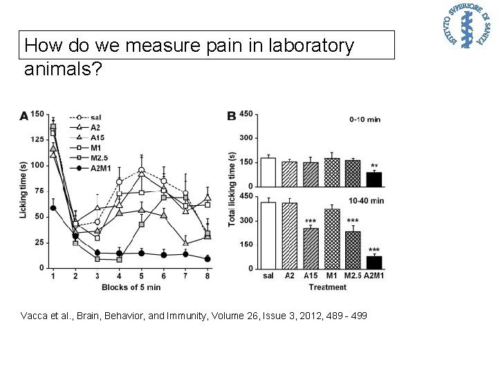 How do we measure pain in laboratory animals? Vacca et al. , Brain, Behavior,