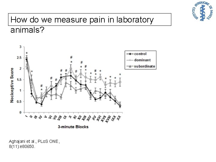 How do we measure pain in laboratory animals? Aghajani et al. , PLo. S