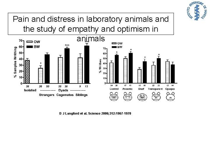 Pain and distress in laboratory animals and the study of empathy and optimism in