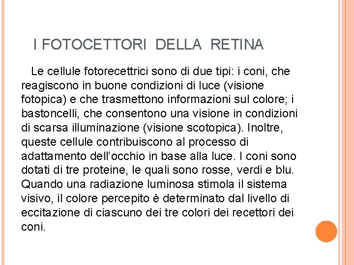  I FOTOCETTORI DELLA RETINA Le cellule fotorecettrici sono di due tipi: i coni,