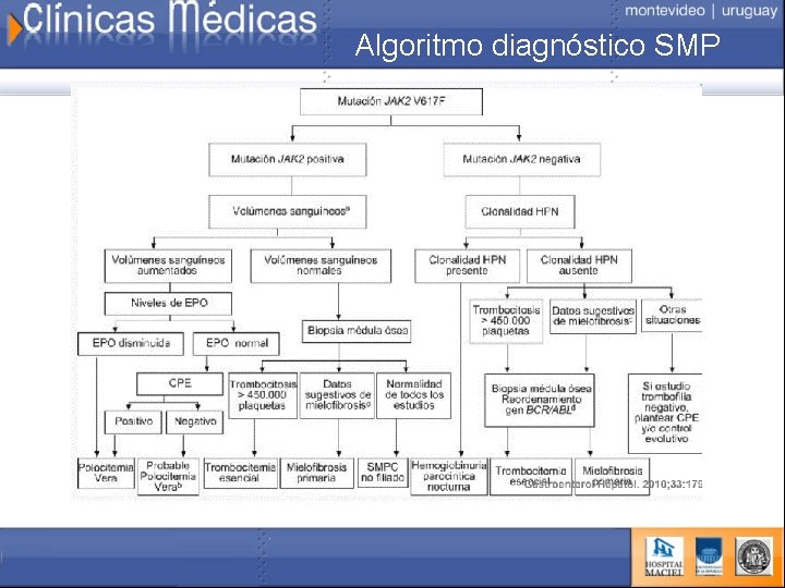 Algoritmo diagnóstico SMP 