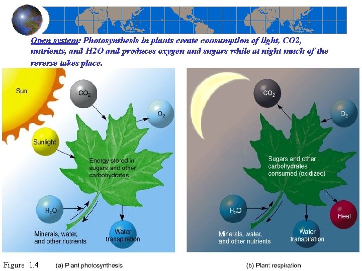 Open system: Photosynthesis in plants create consumption of light, CO 2, nutrients, and H