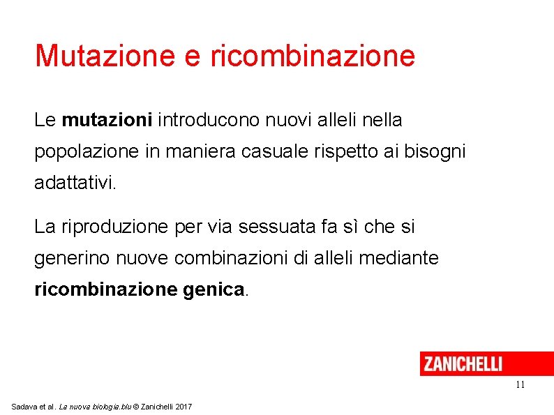 Mutazione e ricombinazione Le mutazioni introducono nuovi alleli nella popolazione in maniera casuale rispetto Mutazione e ricombinazione Le mutazioni introducono nuovi alleli nella popolazione in maniera casuale rispetto