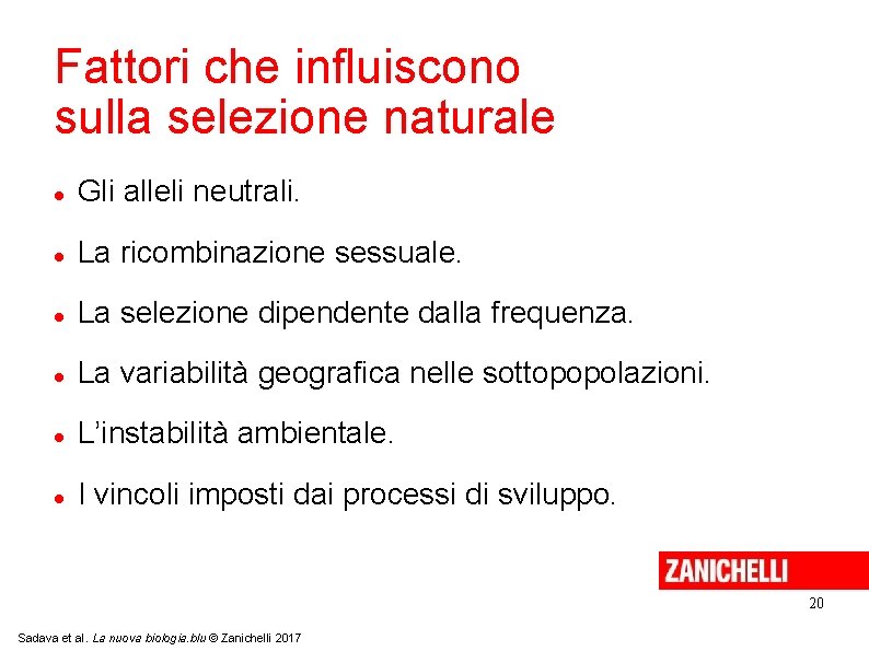 Fattori che influiscono sulla selezione naturale Gli alleli neutrali. La ricombinazione sessuale. La selezione Fattori che influiscono sulla selezione naturale Gli alleli neutrali. La ricombinazione sessuale. La selezione