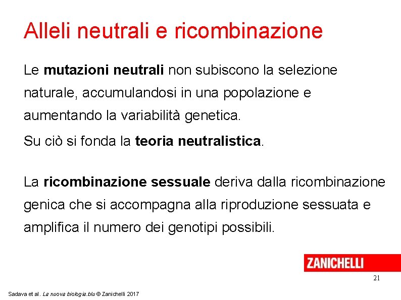 Alleli neutrali e ricombinazione Le mutazioni neutrali non subiscono la selezione naturale, accumulandosi in Alleli neutrali e ricombinazione Le mutazioni neutrali non subiscono la selezione naturale, accumulandosi in