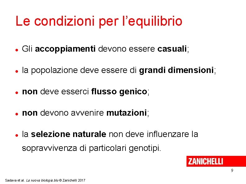 Le condizioni per l’equilibrio Gli accoppiamenti devono essere casuali; la popolazione deve essere di Le condizioni per l’equilibrio Gli accoppiamenti devono essere casuali; la popolazione deve essere di