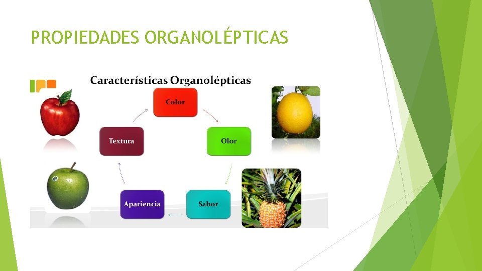 PROPIEDADES ORGANOLÉPTICAS PROPIEDADES ORGANOLÉPTICAS