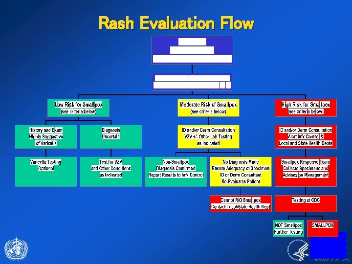 Rash Evaluation Flow 