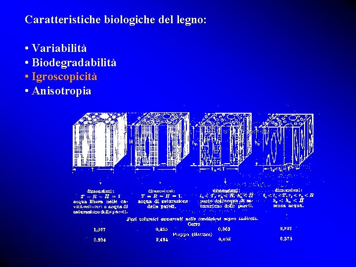 Caratteristiche biologiche del legno: • Variabilità • Biodegradabilità • Igroscopicità • Anisotropia 