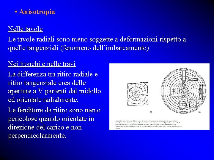  • Anisotropia Nelle tavole Le tavole radiali sono meno soggette a deformazioni rispetto