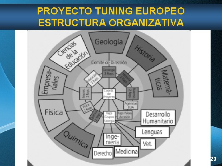 PROYECTO TUNING EUROPEO ESTRUCTURA ORGANIZATIVA Page 23 PROYECTO TUNING EUROPEO ESTRUCTURA ORGANIZATIVA Page 23