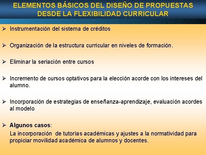 ELEMENTOS BÁSICOS DEL DISEÑO DE PROPUESTAS DESDE LA FLEXIBILIDAD CURRICULAR Ø Instrumentación del sistema ELEMENTOS BÁSICOS DEL DISEÑO DE PROPUESTAS DESDE LA FLEXIBILIDAD CURRICULAR Ø Instrumentación del sistema