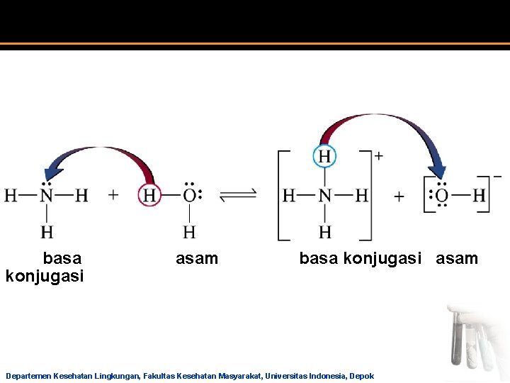 basa konjugasi asam Departemen Kesehatan Lingkungan, Fakultas Kesehatan Masyarakat, Universitas Indonesia, Depok 