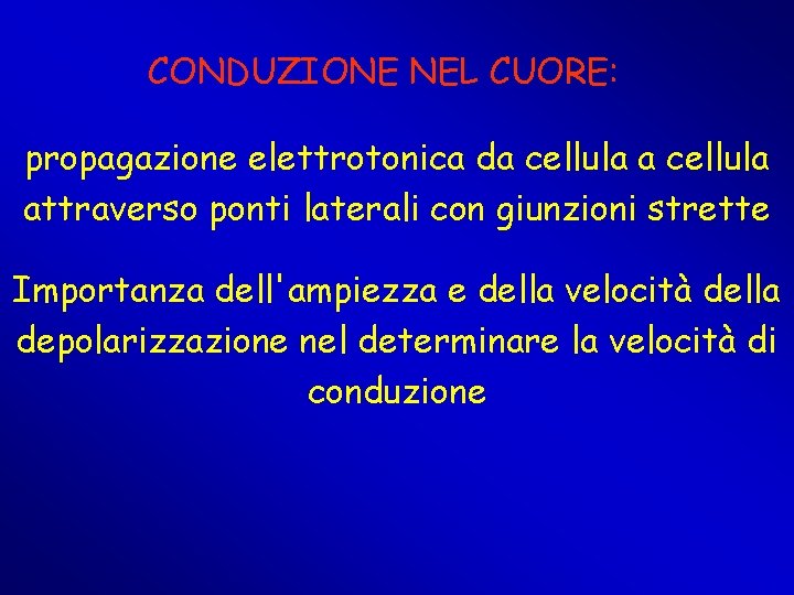 CONDUZIONE NEL CUORE: propagazione elettrotonica da cellula attraverso ponti laterali con giunzioni strette Importanza CONDUZIONE NEL CUORE: propagazione elettrotonica da cellula attraverso ponti laterali con giunzioni strette Importanza