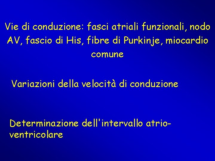 Vie di conduzione: fasci atriali funzionali, nodo AV, fascio di His, fibre di Purkinje, Vie di conduzione: fasci atriali funzionali, nodo AV, fascio di His, fibre di Purkinje,