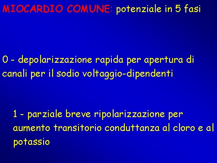 MIOCARDIO COMUNE: potenziale in 5 fasi 0 - depolarizzazione rapida per apertura di canali MIOCARDIO COMUNE: potenziale in 5 fasi 0 - depolarizzazione rapida per apertura di canali
