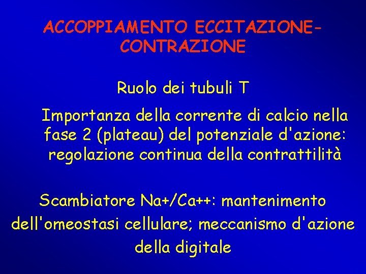 ACCOPPIAMENTO ECCITAZIONECONTRAZIONE Ruolo dei tubuli T Importanza della corrente di calcio nella fase 2 ACCOPPIAMENTO ECCITAZIONECONTRAZIONE Ruolo dei tubuli T Importanza della corrente di calcio nella fase 2