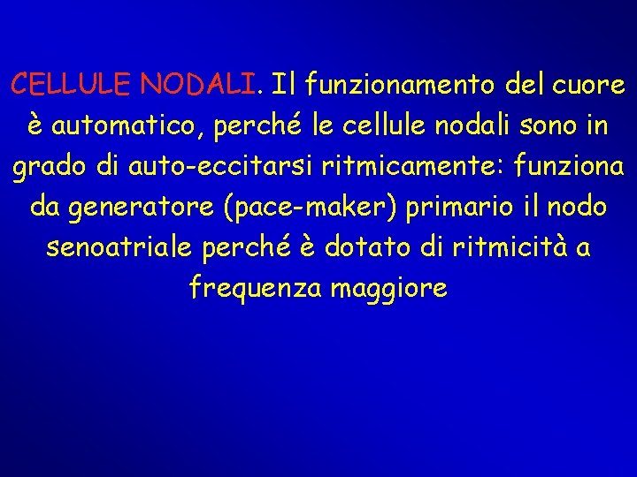CELLULE NODALI. Il funzionamento del cuore è automatico, perché le cellule nodali sono in CELLULE NODALI. Il funzionamento del cuore è automatico, perché le cellule nodali sono in