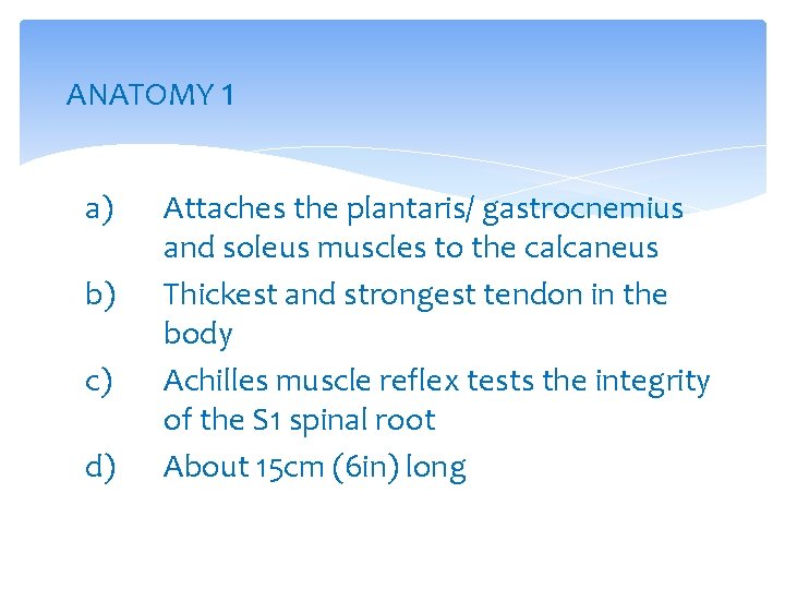 ANATOMY 1 a) b) c) d) Attaches the plantaris/ gastrocnemius and soleus muscles to