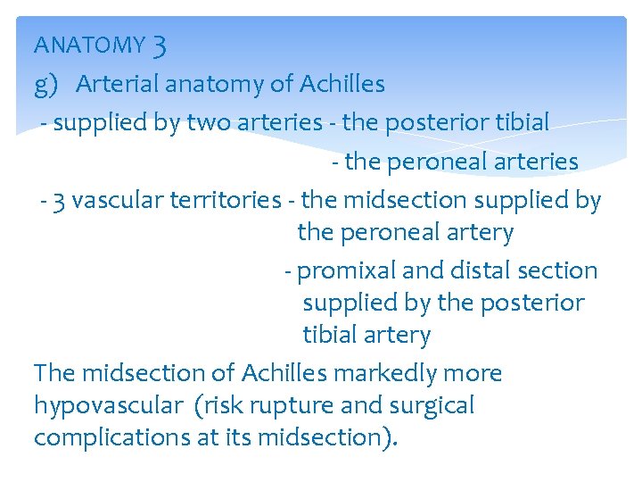 ANATOMY 3 g) Arterial anatomy of Achilles - supplied by two arteries - the