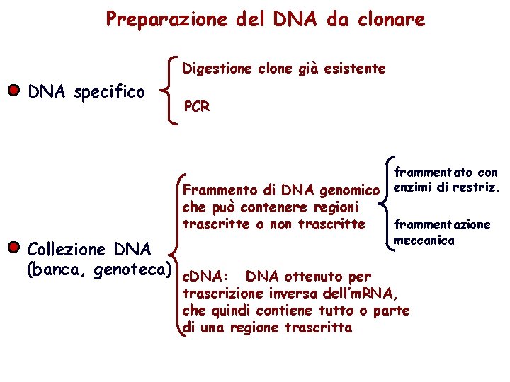 Preparazione del DNA da clonare Digestione clone già esistente DNA specifico PCR frammentato con