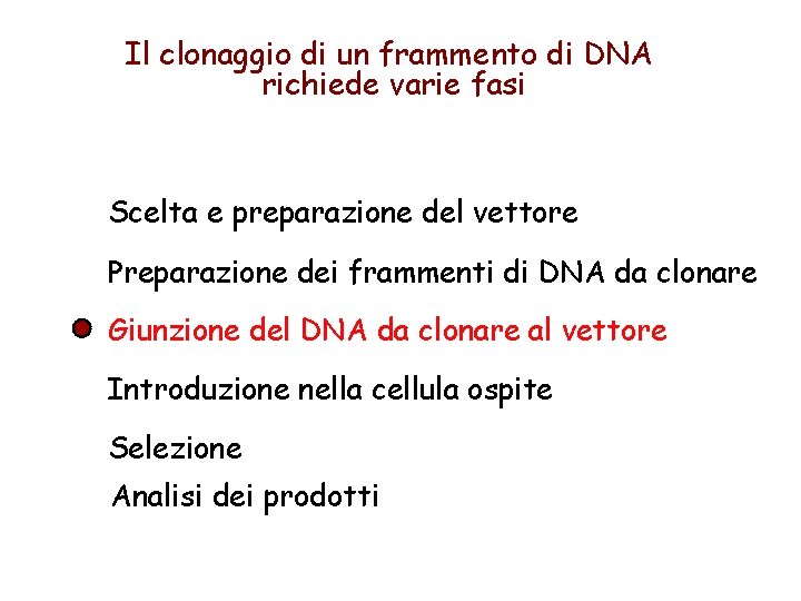 Il clonaggio di un frammento di DNA richiede varie fasi Scelta e preparazione del