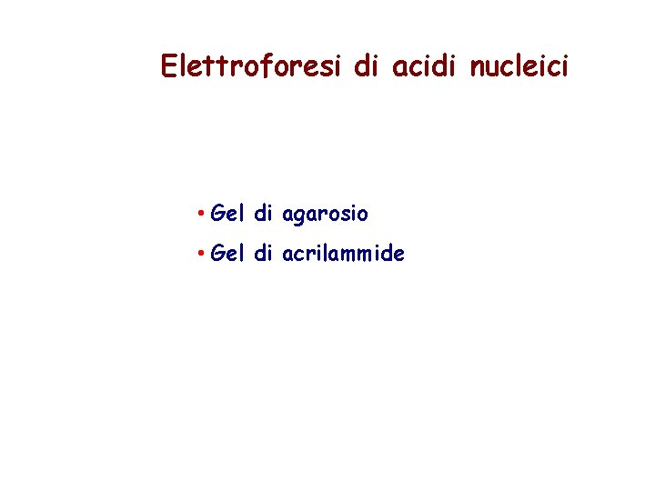 Elettroforesi di acidi nucleici • Gel di agarosio • Gel di acrilammide 