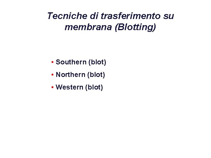 Tecniche di trasferimento su membrana (Blotting) • Southern (blot) • Northern (blot) • Western