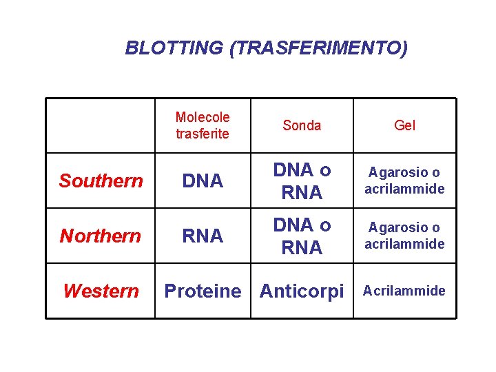 BLOTTING (TRASFERIMENTO) Southern Northern Western Molecole trasferite Sonda Gel DNA o RNA Agarosio o