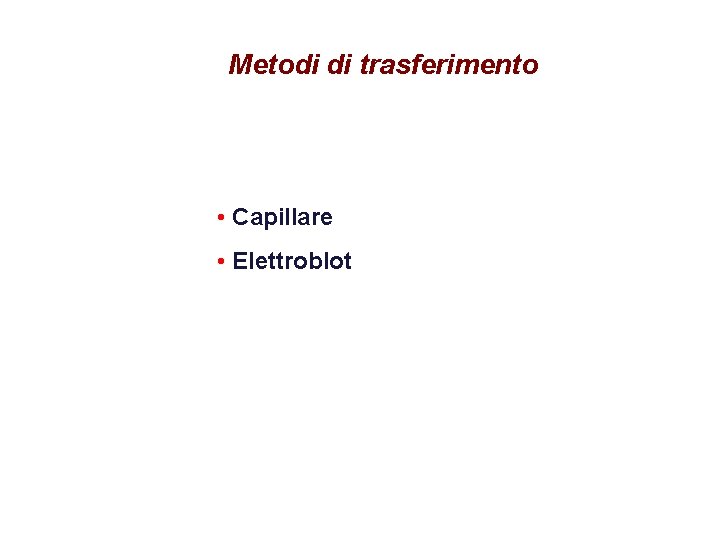 Metodi di trasferimento • Capillare • Elettroblot 