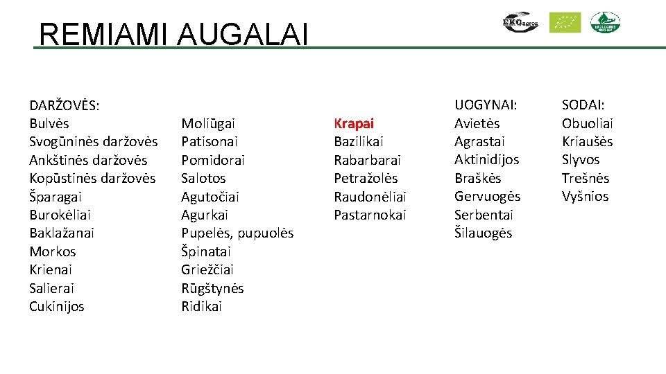 REMIAMI AUGALAI DARŽOVĖS: Bulvės Svogūninės daržovės Ankštinės daržovės Kopūstinės daržovės Šparagai Burokėliai Baklažanai Morkos