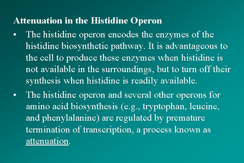 Attenuation in the Histidine Operon • The histidine operon encodes the enzymes of the