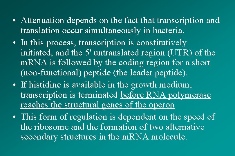  • Attenuation depends on the fact that transcription and translation occur simultaneously in