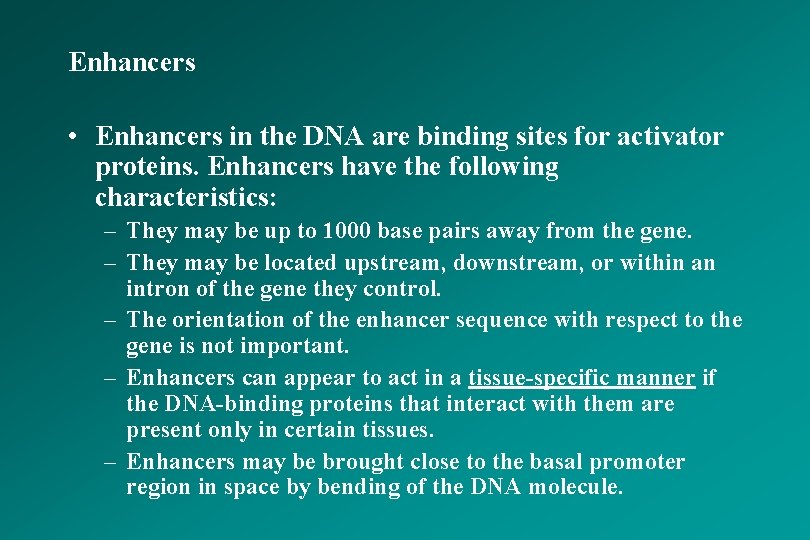Enhancers • Enhancers in the DNA are binding sites for activator proteins. Enhancers have