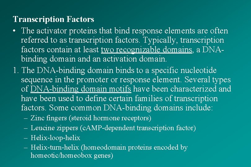 Transcription Factors • The activator proteins that bind response elements are often referred to