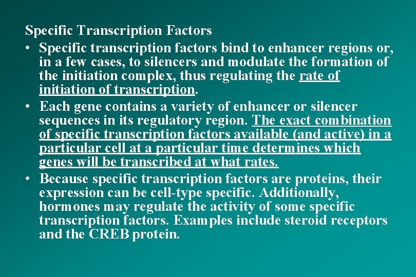 Specific Transcription Factors • Specific transcription factors bind to enhancer regions or, in a